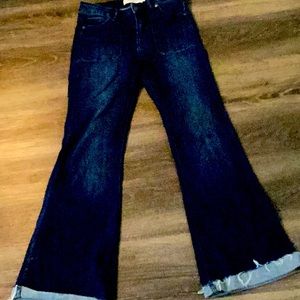 Hidden (los Angeles ) flaired jeans. Size 27. Great stretchy denim. Like new.